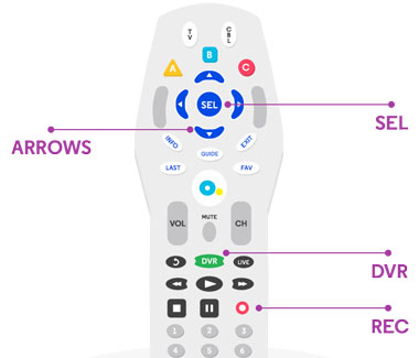 TV Multi Room DVR